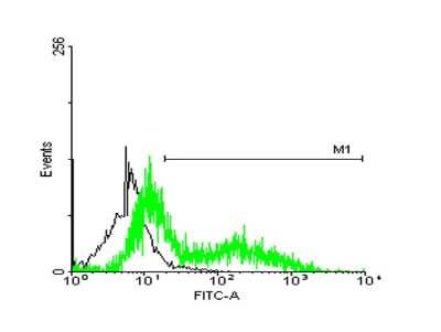 Flow Cytometry: STI1 Antibody (2E1) [H00010963-M33]