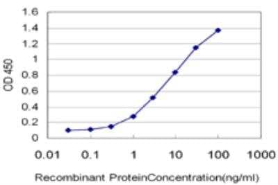 ELISA: STK22C Antibody (6B2) [H00081629-M07]