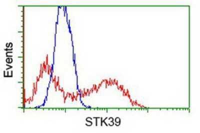 Flow Cytometry: STK39 Antibody (OTI4E3) [NBP1-48021]
