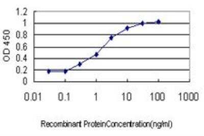 ELISA: STK4 Antibody (1D7-8A10) [H00006789-M01]