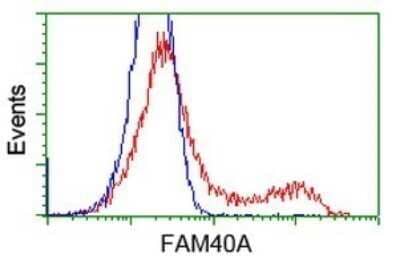 Flow Cytometry: STRIP1 Antibody (OTI7B8) - Azide and BSA Free [NBP2-74408]