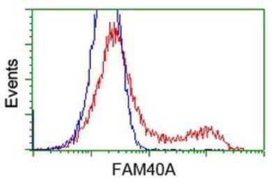 Flow Cytometry: STRIP1 Antibody (OTI7B8) [NBP2-45715]
