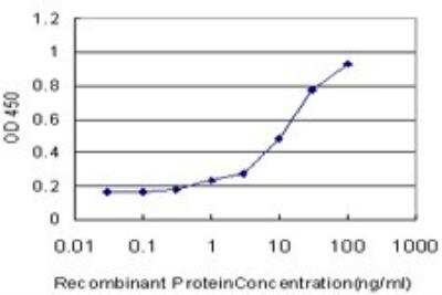 ELISA: STT3A Antibody (4D4) [H00003703-M02]