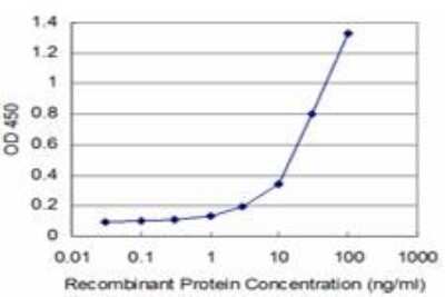 ELISA: STYK1 Antibody (4A4) [H00055359-M03]