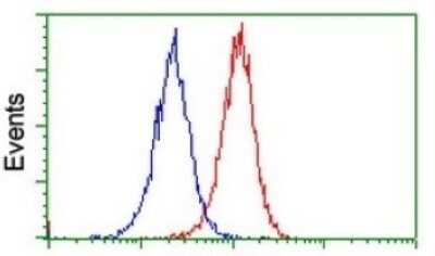 Flow Cytometry: SUHW1 Antibody (OTI2H3) - Azide and BSA Free [NBP2-74409]