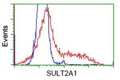 Flow Cytometry: Cytosolic Sulfotransferase 2A1/SULT2A1 Antibody (OTI4D7) [NBP2-03003]