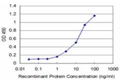 ELISA: SUPT5H Antibody (1G3) [H00006829-M04]