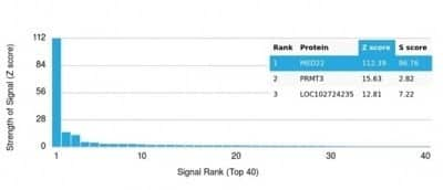 Protein Array: SURF5 Antibody (PCRP-MED22-1E4) - Azide and BSA Free [NBP3-14190]