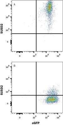 Flow Cytometry: SUSD2 Antibody (1279B) - Azide and BSA Free [MAB90564]