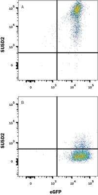 Flow Cytometry: SUSD2 Antibody (1279C) - Azide and BSA Free [MAB90565]