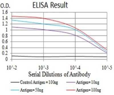 ELISA: SUZ12 Antibody (2B9G12) - BSA Free [NBP2-61892]