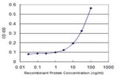 ELISA: SV2C Antibody (3D8) [H00022987-M01]