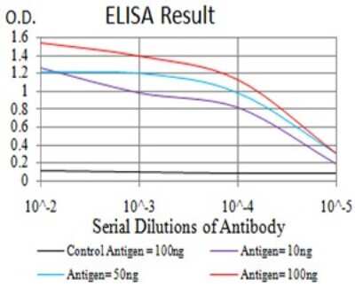 ELISA: SYK Antibody (2G11E6) - BSA Free [NBP2-61893]