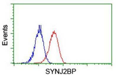 Flow Cytometry: SYNJ2BP/ARIP2 Antibody (OTI3A9) [NBP2-01601]