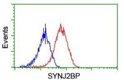 Flow Cytometry: SYNJ2BP/ARIP2 Antibody (OTI3A9) - Azide and BSA Free [NBP2-74417]