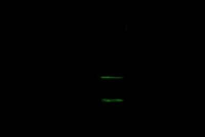 Western Blot: SZRD1 Antibody [NBP2-99181]