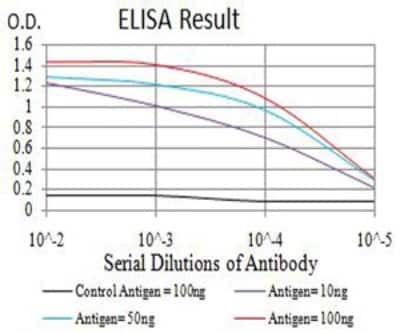 ELISA: Salivary Amylase Alpha Antibody (1G4D8) - BSA Free [NBP2-61869]