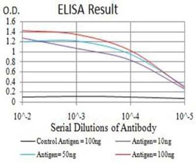 ELISA: Salivary Amylase Alpha Antibody (5G6F7) - BSA Free [NBP2-61862]