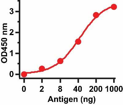 ELISA: Sars Envelope Protein Antibody - BSA Free [NBP2-41062]