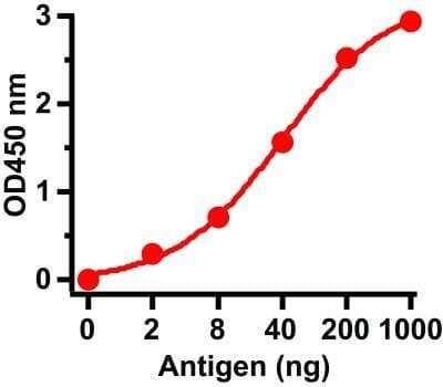 ELISA: Sars Membrane Protein Antibody - BSA Free [NBP2-41059]