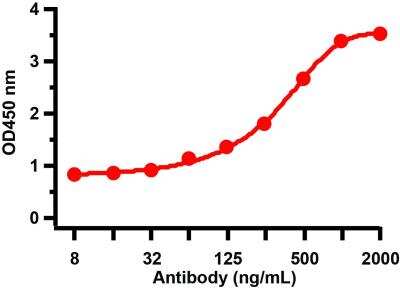 ELISA: Sars Membrane Protein Antibody - BSA Free [NBP2-41060]