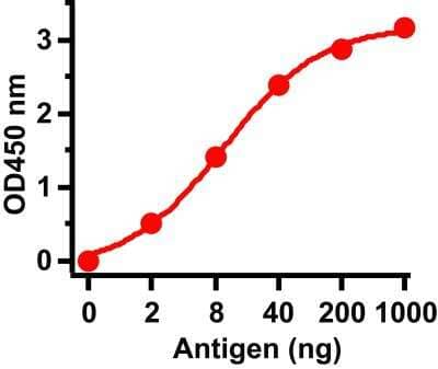 ELISA: Sars Membrane Protein Antibody - BSA Free [NBP2-41060]
