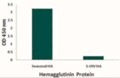ELISA: Seasonal H1N1 Hemagglutinin Antibody (7H12F6) - BSA Free [NBP2-41328]