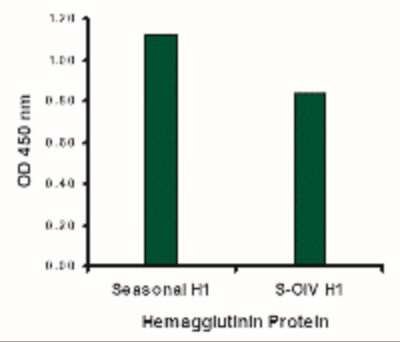 ELISA: Seasonal H1N1 Hemagglutinin Antibody - BSA Free [NBP2-41108]