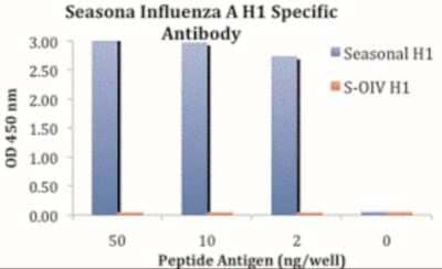 ELISA: Seasonal H1N1 Hemagglutinin Antibody - BSA Free [NBP2-41108]