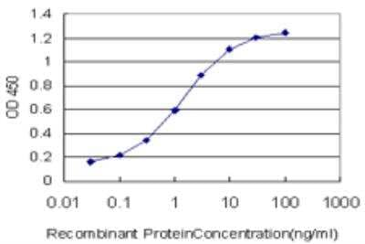 ELISA: Sec8 Antibody (4F1) [H00060412-M06]