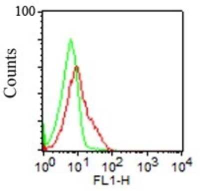 Flow Cytometry: Semaphorin 4D/CD100 Antibody (A8) [NBP2-25198]
