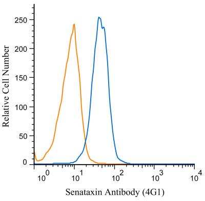 Flow (Intracellular): Senataxin Antibody (4G1) - BSA Free [NBP2-52726]