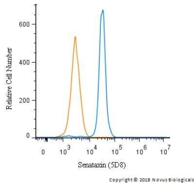 Flow Cytometry: Senataxin Antibody (5D8) - Azide and BSA Free [NBP2-80944]