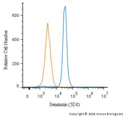 Flow Cytometry: Senataxin Antibody (5D8) - BSA Free [NBP2-52727]
