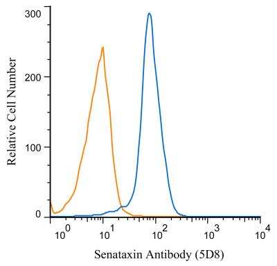 Flow (Intracellular): Senataxin Antibody (5D8) - BSA Free [NBP2-52727]