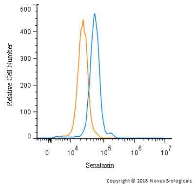 Flow Cytometry: Senataxin Antibody - BSA Free [NBP1-94712]