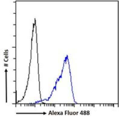Flow Cytometry: Septin-4 Antibody [NBP1-52095]