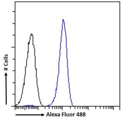 Flow Cytometry: Septin-4 Antibody [NBP1-52096]
