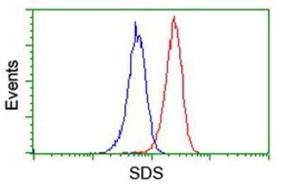 Flow Cytometry: Serine Dehydratase Antibody (OTI3D3) [NBP2-01506]