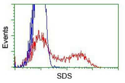 Flow Cytometry: Serine Dehydratase Antibody (OTI3D3) [NBP2-01506]