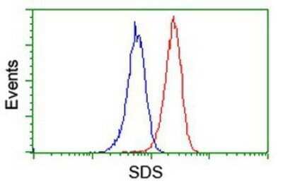 Flow Cytometry: Serine Dehydratase Antibody (OTI3D3) - Azide and BSA Free [NBP2-74074]