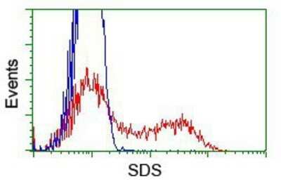 Flow Cytometry: Serine Dehydratase Antibody (OTI3D3) - Azide and BSA Free [NBP2-74074]