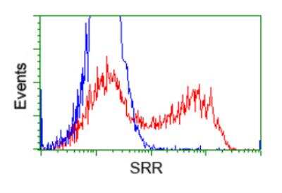 Flow Cytometry: Serine racemase Antibody (OTI2E3) [NBP2-02332]