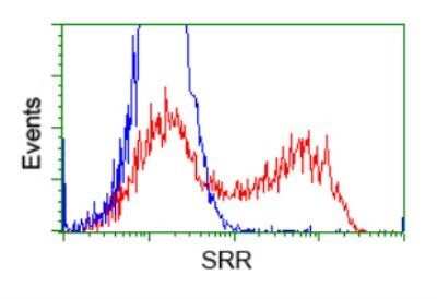 Flow Cytometry: Serine racemase Antibody (OTI2E3) - Azide and BSA Free [NBP2-74083]