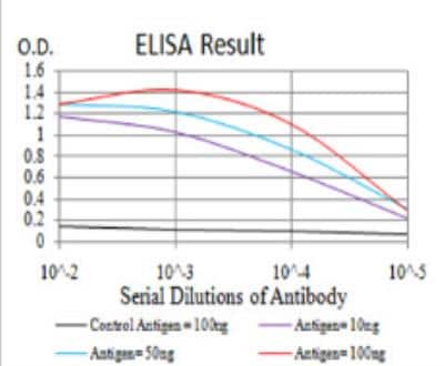 ELISA: Serpin A1/alpha 1-Antitrypsin Antibody (5D1D2) - BSA Free [NBP2-52557]