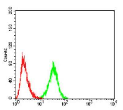 Flow Cytometry: Serpin A1/alpha 1-Antitrypsin Antibody (5D1D2) - BSA Free [NBP2-52557]