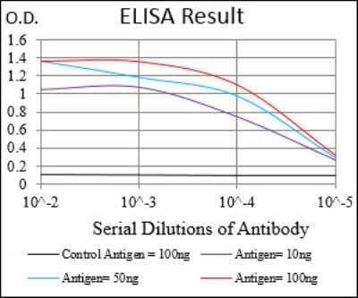 ELISA: Serpin A3/alpha 1-Antichymotrypsin Antibody (5G3C11) - BSA Free [NBP2-52559]