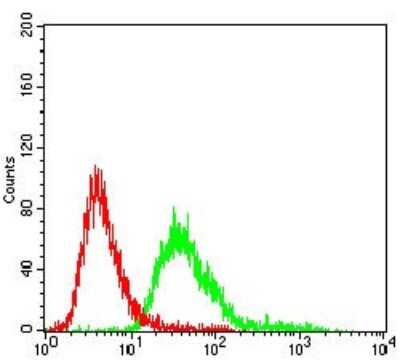 Flow Cytometry: Serpin A3/alpha 1-Antichymotrypsin Antibody (5G3C11) - BSA Free [NBP2-52559]
