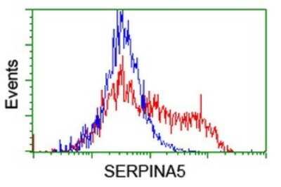 Flow Cytometry: Serpin A5/Protein C Inhibitor Antibody (OTI1C4) [NBP2-45764]