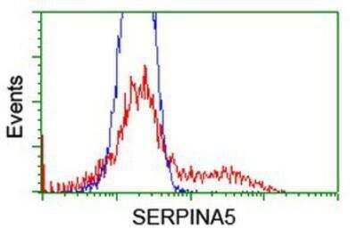 Flow Cytometry: Serpin A5/Protein C Inhibitor Antibody (OTI2D10) [NBP2-01833]